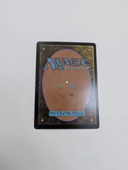 MTG - Forest (0511) (First-Place Foil) - Aetherdrift NM/M Condition - Image 4