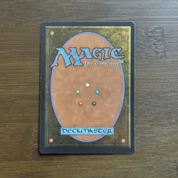 Wizards' School LP Homelands Magic The Gathering Card - Image 2