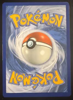Raboot Stellar Crown 147/142 Pokemon Card 2025 Illustration, Rare - Image 4