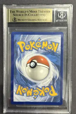 Raboot 147/142 Illustration Rare Stellar Crown Pokemon TCG *Beckett 9.5* - Image 2