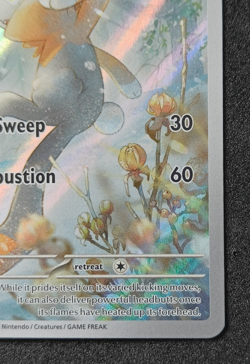 Pokemon TCG Raboot 147/142 Stellar Crown Illustration Rare Card - LP Binder Copy - Image 4