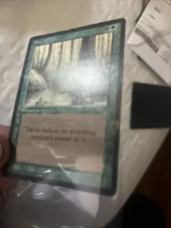 Singing Tree Arabian Nights Mtg Reserved List HP - Image 3