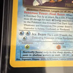 The Pokemon Company Dark Gyarados Prerelease Holo Promo Wotc 8/82 70HP 2000 EN - Image 2
