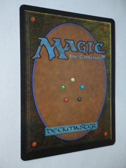 Eternal Warrior Legends NM Near Mint English MTG *Ring Ding* - Image 2