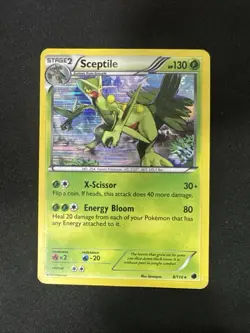 Sceptile 8/116 Plasma Freeze Holo Rare Pokemon TCG English 2013 - Image 1