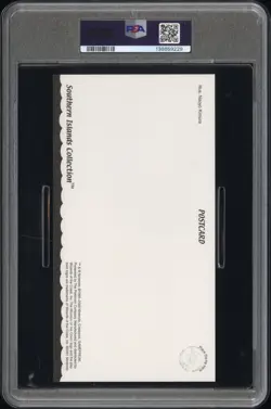 2001 POKEMON SOUTHERN ISLANDS COLL POSTCARD SEA PSA 5 - Image 2