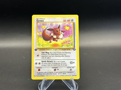 Eevee - 1st Edition - 51/64 Jungle Set - Pokemon TCG - 1999 - Image 1