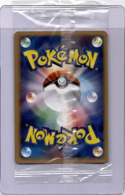 Torchic Sealed PokePark Promo 047/PCG-P Japanese Pokemon Card Black Star 2005 - Image 2