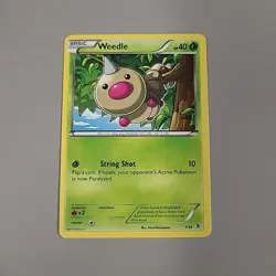 Weedle 1/39 XY Kalos Starter Set Pokemon TCG Non-Holo LP - Image 1
