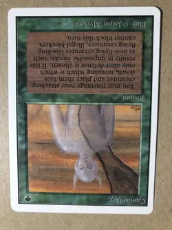 Mtg Camouflage - Image 3