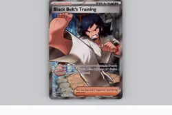 Black Belt’s Training 255/217 IR - Pokemon TCG: Ascended Heroes NM - Image 1