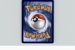 Black Belt’s Training 255/217 IR - Pokemon TCG: Ascended Heroes NM - Image 2