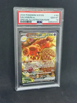 Pokemon TCG Dachsbun EX Special Illustration Rare Stellar Crown 169/142 PSA 10 - Image 1