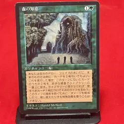 Sylvan Library Japanese FBB MTG Magic Black Border 4th Edition - Image 1