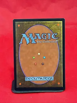Worldly Tutor Mirage Regular V3 - Image 2