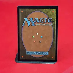 Time Warp Tempest Regular - Image 2