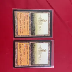 Deserted Temple Odyssey Regular X2 - Image 1