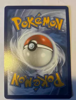 Snorunt 227/217 Ascended Heroes Illustration Rare Near Mint NM Condition - Image 2
