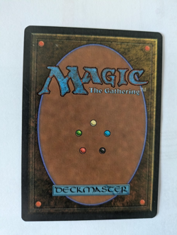 Italian Lifeblood Legends MTG NM Free shipping with tracking - Image 2