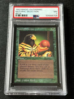 Beta Natural Selection Limited Edition Magic the Gathering MTG PSA NM - Image 1