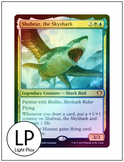 1x Shabraz, the Skyshark, Foil, Magic the Gathering MTG LP Light Play - Image 1