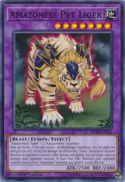 1x (EX) Amazoness Pet Liger - MP18-EN166 - Common - 1st Edition YuGiOh - Image 1