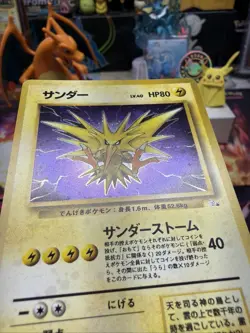 Zapdos No.145 - Japanese Fossil Holo Pokemon TCG NM - Image 5