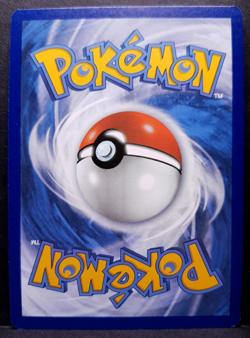 Helles Riffex SWSH137 Celebrations Promo Holo Pokemon Pokemon Karte Deutsch NM - Image 2