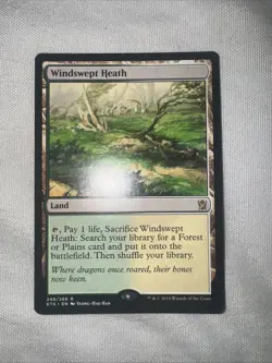 Windswept Heath MTG Onslaught Land Card Light Near Mint. (Private Collection.) - Image 1