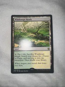 Windswept Heath MTG Onslaught Land Card Light Near Mint. (Private Collection.) - Image 2