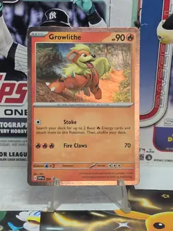 Pokemon Scarlet & Violet Black Star Promo - Growlithe SVP 024 LP - Image 1