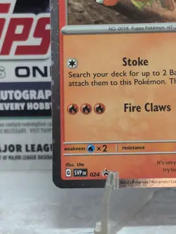 Pokemon Scarlet & Violet Black Star Promo - Growlithe SVP 024 LP - Image 4