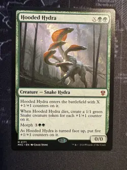MTG-Commander: Murders at Karlov Manor-Hooded Hydra-0171 - Image 1