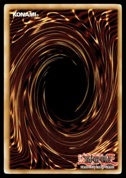 Amazoness Scouts Duelist Revolution DREV-EN081 MP YuGiOh TCG | Buy 10 Get 10 Fre - Image 2