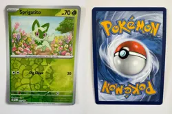 SPRIGATITO 013/193 PALDEA EVOLVED COMMON POKEMON REVERSE HOLO NM/M NAOYO KIMURA - Image 3