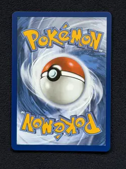 Pokemon TCG First Partner Illustration Gen 1 Kanto Starters Set NM/M - Image 4