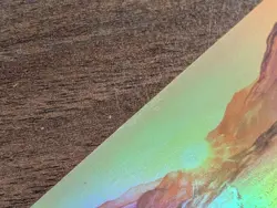 Steppe - Foil- Sorcery: Contested Realm error card (read description) - Image 4