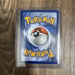 Pokemon TCG Snivy 049 Black Star Promo First Partners Collection Series 2 NM - Image 2