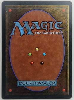 Magic the Gathering Wall of Shadows - NM - Image 2