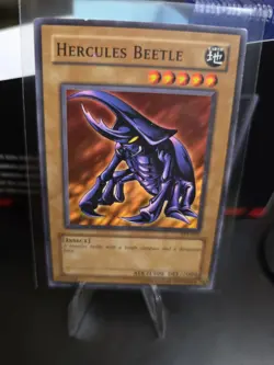 Yugioh TCG Hercules Beetle TP1-025 Tournament Pack 1- MP - Image 1