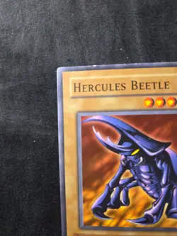 Yugioh TCG Hercules Beetle TP1-025 Tournament Pack 1- MP - Image 4
