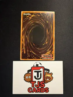 Elemental Hero Neos - Secret Rare Limited Edition CT03-EN001 - LP - YuGiOh - Image 3