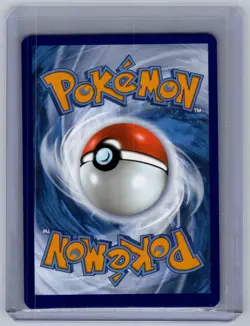 Quagsire 156 Holo Promo Scarlet & Violet Promo Pokemon Near Mint - Image 2