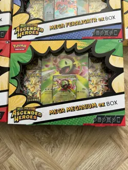 Pokemon TCG - Mega Evolution Ascended Heroes Mega EX Box Set of 3 New Sealed - Image 4