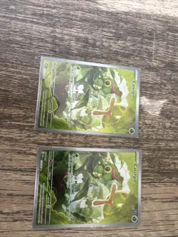 Caterpie 172/165 SV2a: Pokemon Card 151 Holofoil - NM - Image 3