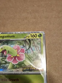 Mega Evolution Build & Battle Deck Meganium MEP 001 Pokemon Sealed - Image 2