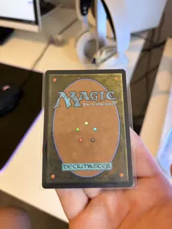 Snapcaster Mage Borderless Chocobo Track Foil M469 Final Fantasy Foil MTG Magic - Image 2