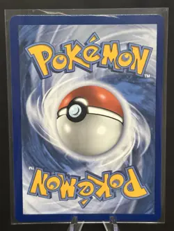 Pokemon First Partner Series 2 - Johto Starter Set Chikorita Cyndaquil Totodile - Image 4