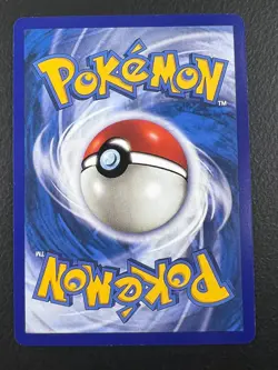 Pokemon PLACEHOLDER Gyarados Skyridge | ENGLISH H10/H32 TCG FANMADE Holo - Image 2