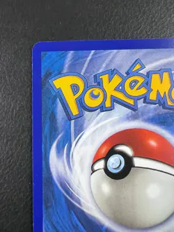 Pokemon PLACEHOLDER Gyarados Skyridge | ENGLISH H10/H32 TCG FANMADE Holo - Image 3